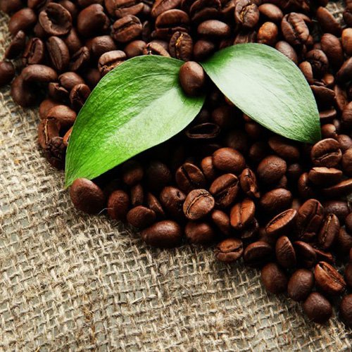 Home Image gallery marquee