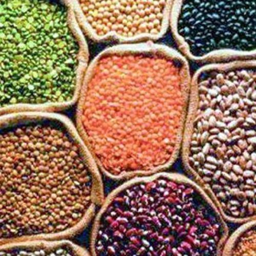 Home Image gallery marquee