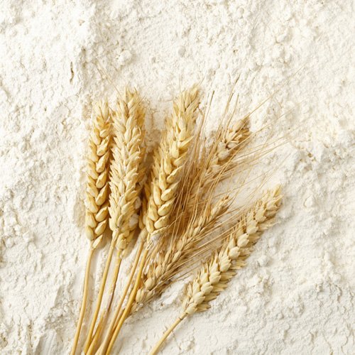 Home Image gallery marquee